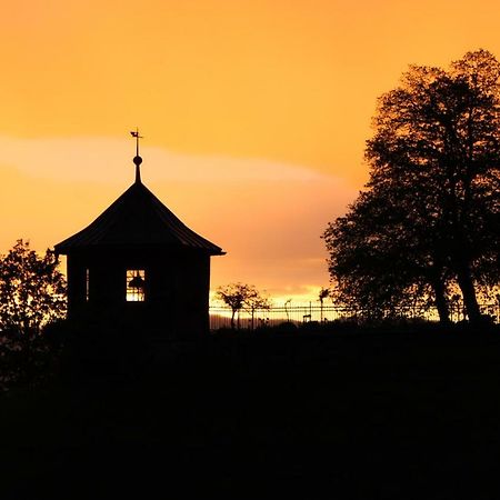 Ferienwohnung Mit Panoramablick Viktorsberg Bagian luar foto